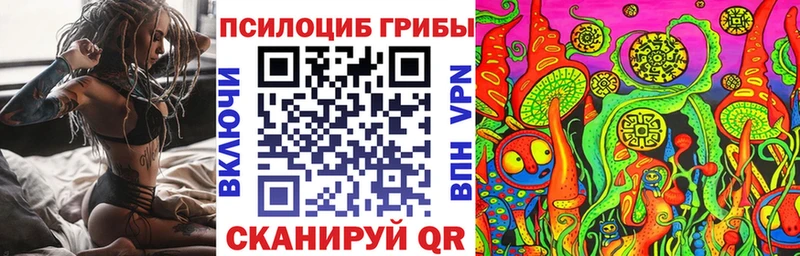 Псилоцибиновые грибы прущие грибы  Рудня 